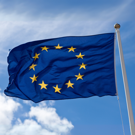 🇪🇺European Leadership